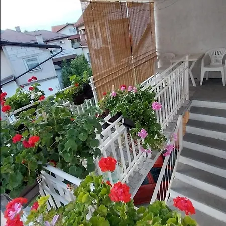 Apartmán Sarac *
